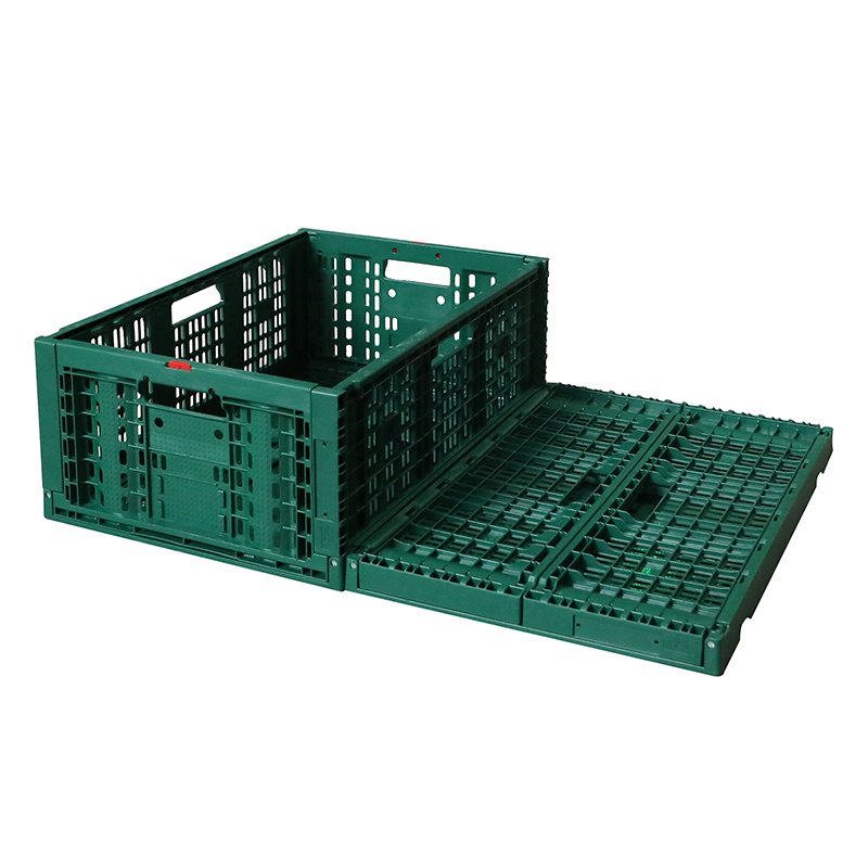 6T7A1442